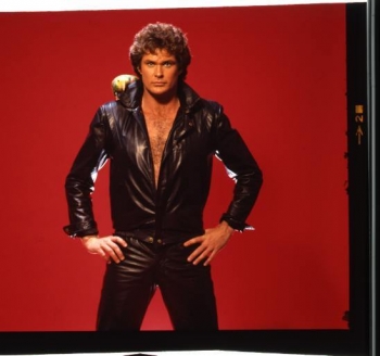 Don't hassel the hoff