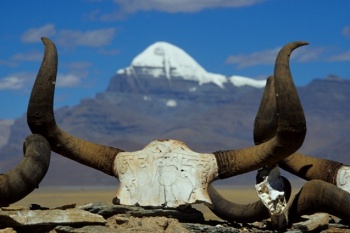 tibetas_lekcija_kino_riga6