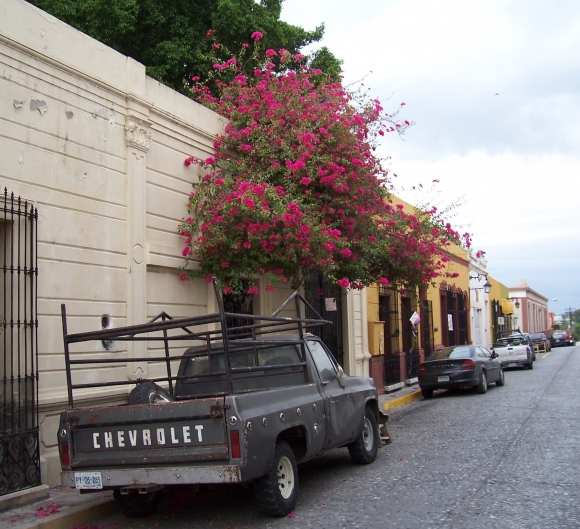 Meksika, Montereja