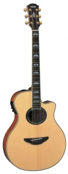 Yamaha Apx900